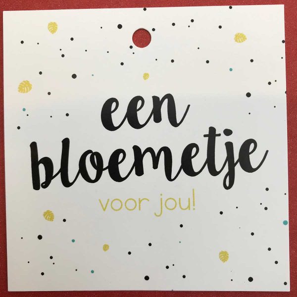 Kaartje 'Een Bloemetje' Scheerhoorn Bloemen Leek