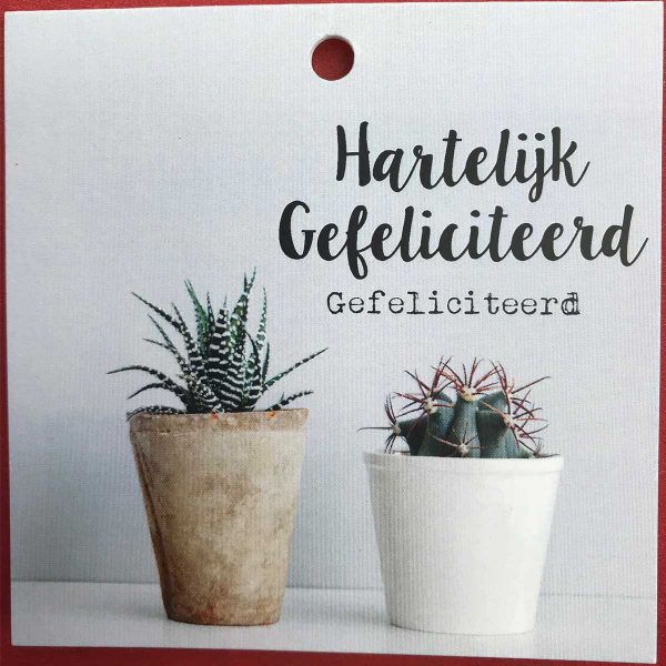 Kaartje 'Gefeliciteerd' Scheerhoorn Bloemen Leek