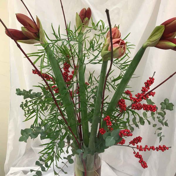 Boeket Decemberknaller €29,99 Scheerhoorn Bloemen Leek